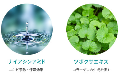 保湿成分と整肌成分で、肌のきめを整えます。
